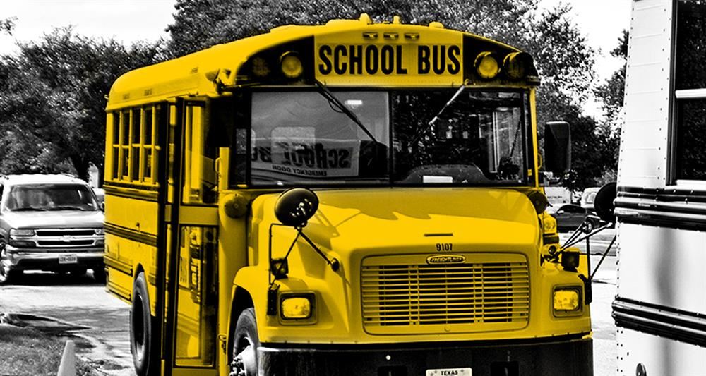 School bus 